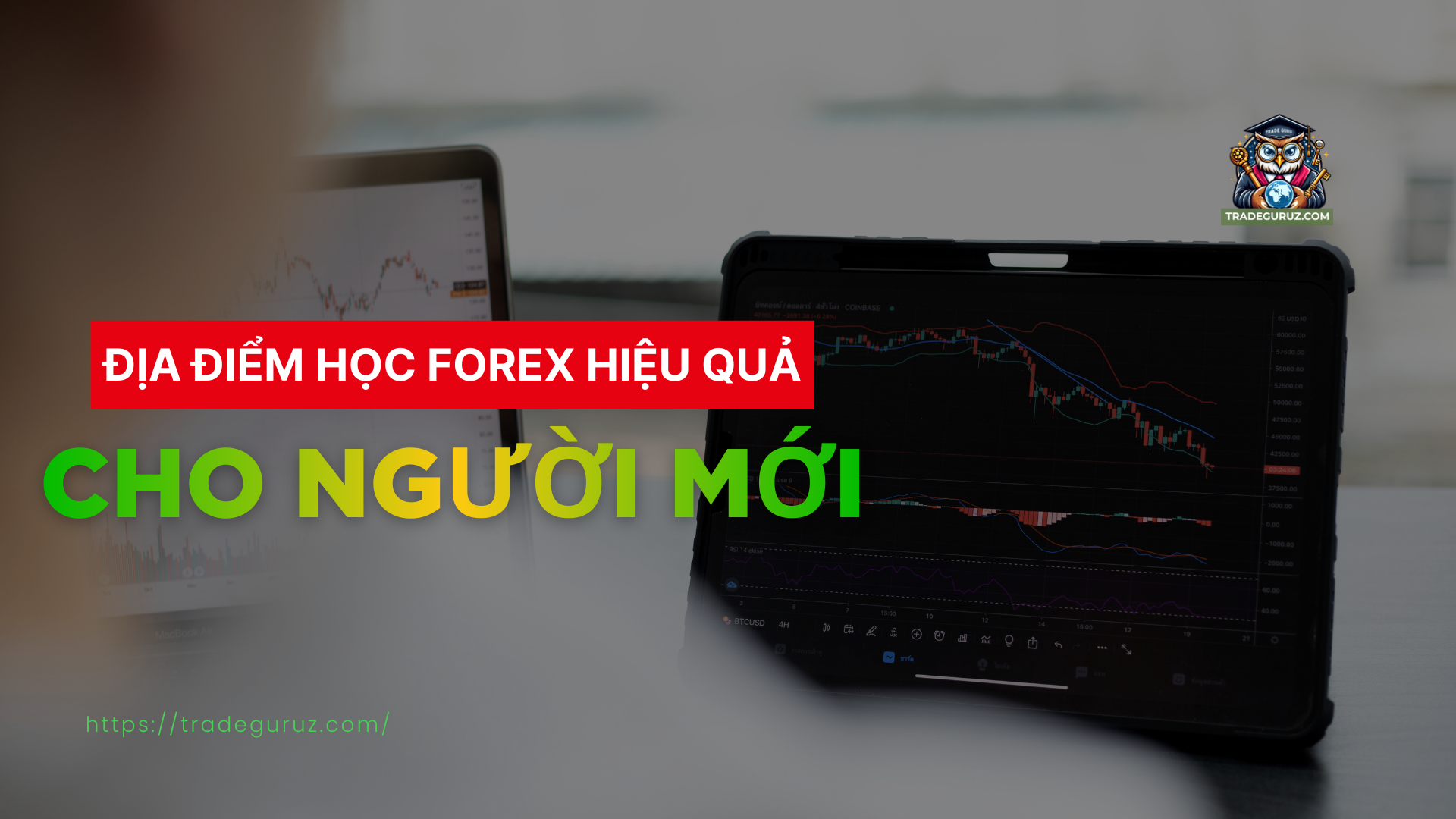 Học trade Forex ở đâu hiệu quả cho người mới